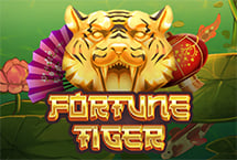 Macan Hoki